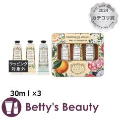 �p�j�G�f�T���X �A�u�\�����[�g �n���h�P�A�M�t�g�Z�b�g  30�����~3�n���h�N���[�� Panier des Sens