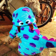 ���@�n���E�B���@�������@�L�n���E�B���@���R�X�v���@���R�X�`���[���@�y�b�g�E�G�A�@���̕��@�n���E�B���@�U�����@�ۂ��ۂ��Ȃ��@����