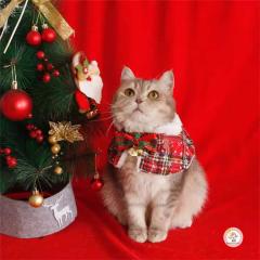 ���T���^�}���g�@�l�R�̃T���^�}���g�@���L�@�N���X�}�X �P�[�v �}���g �R�X�v�� Xmas �T���^�N���[�X ���� �� �� �m���@�y�b�g �R�X�v��