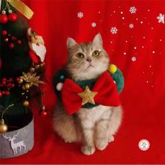 ���T���^�}���g�@�l�R�̃T���^�}���g�@���L�@�N���X�}�X �P�[�v �}���g �R�X�v�� Xmas �T���^�N���[�X ���� �� �� �m���@�y�b�g �R�X�v��