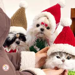  ���p�T���^�X�q�@�T���^�N���[�X�̖X�q�@���L�@�N���X�}�X�c���[�����́@�L�p �N���X�}�X�c���[�X�q�@���Ԃ���� �� �R�X�`���[�� �L 