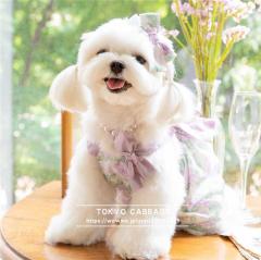 �����@���̕��@�L�� �L�̕��@�H�@�t�@�t�ā@�������s�@�h�b�O�����s�@���L�̃����s�@�t���������s�[�X�@�����^���@���^���@���^���@�y�b