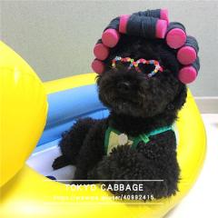犬猫 美容室 ペットヘアクリップ ドッグハロウィン 犬猫ハロウィン被り物 変身 コスプレ 犬 猫 被り物ヘアクリップ ヘアサロン