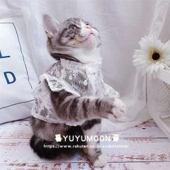 �āE�t�@�����@���̕��@�t�@�H�@�����@�L���@�y�b�g�E�F�A �@�������s�@���������p�X�J�[�g�@���̃X�J�[�g�@�����@���̕��@�y�b�g���@