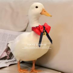 �{�p�����@�ɂ�Ƃ�@�J����ց@�J�����[�h�@�A�q����֎����@�J���p����@�J���O�b�Y�@�J���U�������@�y�b�g�����@�y�b�g�O�b�Y