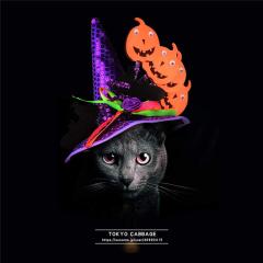 ���@�g���X�q�@���L�@���L�R�X�`���[���@�n���E�B���X�q���p�@�y�b�g�R�X�`���[���@�y�b�g���@�h�b�O�E�F�A�@���E�F�A�@�R�X�v���ߑ��@�n