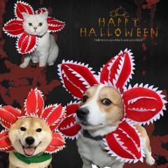 犬パックンフラワー被り物のコスチューム パックンフラワー 猫コス ハロウィン被り物 犬 ハロウィン 犬仮装 猫ハロウィン 犬コスプ