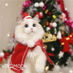 ���L�@�N���X�}�X �P�[�v �}���g �R�X�v�� Xmas �T���^�N���[�X ���� �� �� �m���@�y�b�g �R�X�v�� �R�X�`���[�� �T���^ �P�[�v�@�T���^