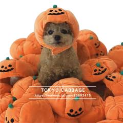 ���������@�R�X�v���ߑ��n���E�B�� �� �R�X�v�� �Ȃ肫��E�F�A�@���Ԃ���́@���ڂ���̖X�q�@���L�@�J�{�`���̖X�q�@�J�{�`���R�X�v�� 