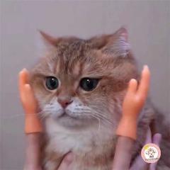 ���������@�L�@�}�b�T�[�W�@��܁@�l�R�p�V�ю�܁@�l�R�O�b�Y�@����܁@�l�R�p�O�b�Y�@�������ŗV�ԔL�p�O�b�Y�@�L��܁@�l�R�V�с@�L�@