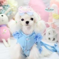 ���̎�� ���p��� ���p���[�h �n�[�l�X�@���[�h�Z�b�g�@���p���[�h�@���[�h��փZ�b�g�@���^�� ���p�@�V���[�g���[�h�@�@1203�@rd-20090