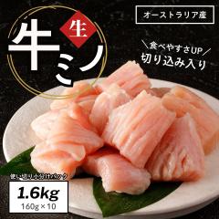 ���~�m 1.6kg (160g�~10��) �������� �Ⓚ ������ �ē� �Ă��� �� ���� �~�m �z������ ���z������ BBQ ���ٓ� ������ ���y�� �u�ߕ� �ȒP