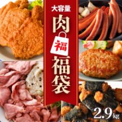 福袋 2025 肉 詰め合わせ 訳あり ローストビーフ 切落し フライドチキン ハンバーグ ウインナー ソーセージ チキン 5種 2.9kg 冷凍総菜