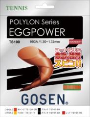 GOSEN(ゴーセン) ポリロン エッグパワー 16 POLYLON EGGPOWER 16 TS100OR 1805 【メンズ】【レディース】