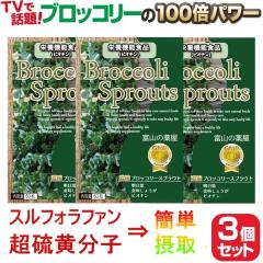 �u���b�R���[�X�v���E�g �X���t�H���t�@�� �T�v�� 3�Z�b�g ���[�O���i �������K ���������q �������� �y���r���[�œX�܍ő�����N�[�|