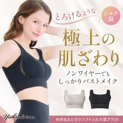 �䂫�˂��C���N �䂫�˂� �Ƃ�� �\�t�g �V���N�� �u�� 25 �␳ �␮ ���� �␳���� ���f�B�[�X �C���i�[ �o�X�g���C�N�u���f���X SALE 