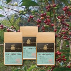 pi}@GX_QCV@100g~3 ( R[q[ R[q[ )