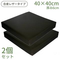 �N�b�V���� 2�Z�b�g �ᔽ�� 40�~40�~6cm 2�w�N�b�V���� �������� ���烌�U�[�^�C�v �E�F���t�@�� ���o�[�V�u�� �̈����U �Ԃ����p�N�b