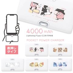 fBYj[LN^[ Lightning Type-CRlN^t `ECI[d 4000mAh oCobe[ 2䓯[d Disney ~bL[