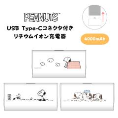 s[ibc oCobe[ } USB Type-CRlN^t `ECI[d 4000mAh 킢 [d iPhone ڏ[d Xk[