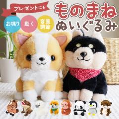 ポケットモンスター ミロカロス 三英貿易 S ぬいぐるみ 71Vn2-xpusL._UF350,350_QL80_.jpg