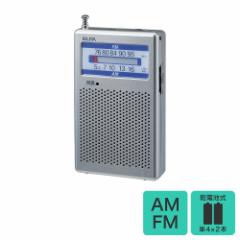Gp AM/FM|PbgWI ER-P60F