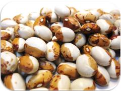 ���́@�k�C���k���Y�@�Փ��@10kg�@�@�@�y�S����z�ց@���������z�y�Ƃ瓤�@�C���Q�����z