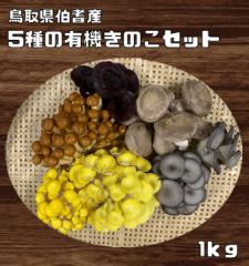 �L�@�͔|���̂��Z�b�g 1Kg ���挧���ˎY �H�׃`���N ���˂̂��̂� �ő� �؎� ���� �Ȃ߂� �^���M�^�P �L�@JAS ���_�� �l�ߍ��킹 �Y��