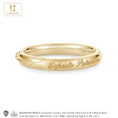 �n���[�|�b�^�[ �O�b�Y �����O �w�� �A�N�Z�T���[ �W���G���[ Harry Potter Ring K18�C�G���[�S�[���h �y�A ���j�Z�b�N�X �v���[���g
