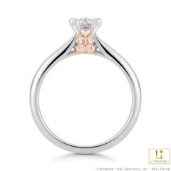 ���̃J�[�r�B �����O �w�� Friend Heart �J�[�r�B �����O �v���`�i�~K18�s���N�S�[���h(�_�C����) ����w�� �G���Q�[�W�����O �v���[���g