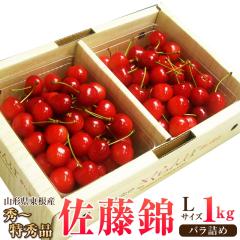 �������� �����тP���� �k�T�C�Y �G�`���G�i �o���l1���� �R�`�������Y�I�n�͔| �̂��y6/20���`7/15�������z�y���������z