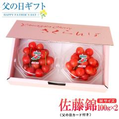 ���̓��M�t�g �������� �����у_�C���p�b�N 100g�~2P�iM�ʏG�i�j���̓��J�[�h�t ���ϔ����� �R�`�������Y �������n�E�X�͔| �������� 