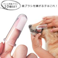 �y�b�g�p �w���u���V 10�Z�b�g �V���R���� ���u���V �\�t�g�u���V ���p���u���V �� ���� �L �˂� ���p �L�p ������ �y�b�g�p���u���V 