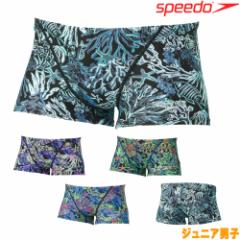 Xs[h SPEEDO j WjAjq Kp V[[h^[Y{bNX ENDURANCE ECO jK 2023NH~f STB52352