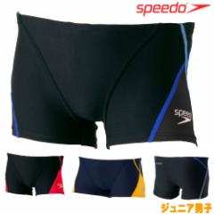 N[|zz Xs[h SPEEDO j WjAjq Kp vbVAbv^[Y{bNX ENDURANCE ECO jK STB52301