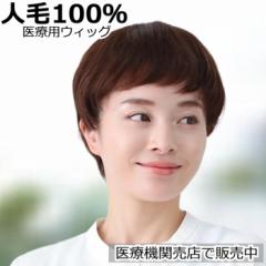 ��×p�E�B�b�O �l��100�� �����p �l�� ���t���X�q �P�A�X�q �E�� ��×p�X�q �E�B�b�O �{�u �V���[�g �t���E�B�b�O �ڂ��� �l�C ���R �E