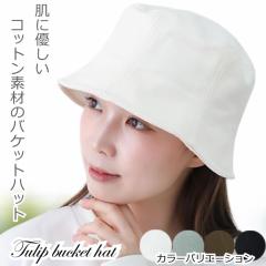 ��×p�X�q ������� �n�b�g ���悯 �R����ܖX�q �l�C ���f�B�[�X �E�� �� �t �� �H �~ �n�b�g �u���b�N �� �[�� ���� �R�b�g�� ���O