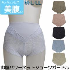 �����V�F�C�v�V���[�c ���� �V�F�C�v �V���[�c �炭�炭 �V�F�C�v�V���[�c �� �V���[�c �K�[�h�� �V���[�c�K�[�h�� �K�[�h���V���[�c 1��