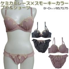 �P�~�J�����[�X�u���W���[���V���[�c �u���W���[ �V���[�c �Z�b�g �u���Z�b�g �u���V���[�c B65 B70 B75 C65 C70 C75 D65 D70 D75 �t�F�~