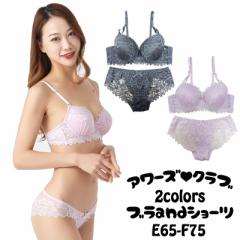  �傫���T�C�Y �u�� �u���W���[ �u���V���[�c �Z�b�g �V���[�c �u��&�V���[�c ���f�B�[�X �u���Z�b�g �u���V���[�c�Z�b�g E65 E70 F65 F7