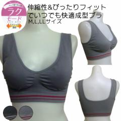 �\�t�g�u���W���[ �\�t�g �u�� �u���W���[ ���^�u�� �u���g�b�v �A�Q�� �X�|�[�c �y �y���� M L LL ���f�B�[�X ���� ���� ���[���֑�����