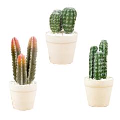 �T�{�e�� �� �C���e���A �u���� �����A�� �� �l���ϗt�A�� �����i �I�[�i�����g �u�� ���킢�� ���� ��l�� �A�� ���� �ϗt�A��