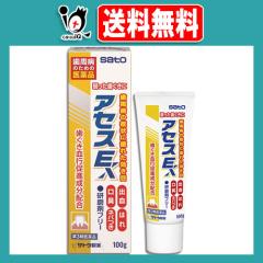 �y��3�ވ��i�z�A�Z�XE 100g�y��������z������������� �����a�̏Ǐ�ɗD�ꂽ������