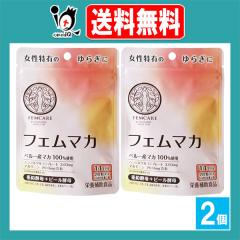 �y�h�{�⏕�H�i�z�t�F���}�J 28��(14����)�~2�Z�b�g�y��哰�z�������L�̂�炬�� �y���[�Y�}�J100���g�p �t�F���P�A maka �����y��+�r