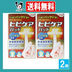 �y�Ǘ���Ë@��z�q�r�P�A�p�b�h 10�����~2�Z�b�g�y�r�c�͔͓��z����Ԃ��p�b�N������ �ЂсE��������� �ЂяC�����i ���ۍ� �J�n�p 