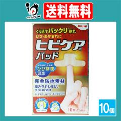 �y�Ǘ���Ë@��z�q�r�P�A�p�b�h 10�����~10�Z�b�g�y�r�c�͔͓��z����Ԃ��p�b�N������ �ЂсE��������� �ЂяC�����i ���ۍ� �J�n�p 