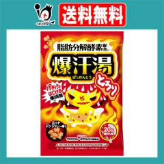 ������(�΂�����Ƃ�) �z�b�g�W���W���[�̍��� 60g(1��)�y�o�C�\���z�p�`�p�`�e���锚�Y�_ �Q���}�j�E�� �G�v�\���\���g ���b�����y�f�z