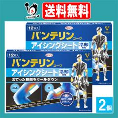 �o���e�����R�[�� �A�C�V���O�V�[�g 12�����~2�Z�b�g�yKowa ���a�z��p��p �قĂ����ؓ����N�[���_�E�� l-�����g�[���z���V�[�g�� �J