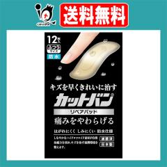 �y�Ǘ���Ë@��z�J�b�g�o�����y�A�p�b�h �ӂ��T�C�Y 12�����y�S����i�H�Ɓz�L�Y�𑁂����ꂢ�Ɏ��� �ɂ݂����炰�� �y�x�̐؂菝 