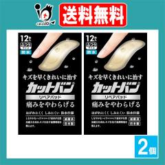 �y�Ǘ���Ë@��z�J�b�g�o�����y�A�p�b�h �ӂ��T�C�Y 12�����~2�Z�b�g�y�S����i�H�Ɓz�L�Y�𑁂����ꂢ�Ɏ��� �ɂ݂����炰�� �y